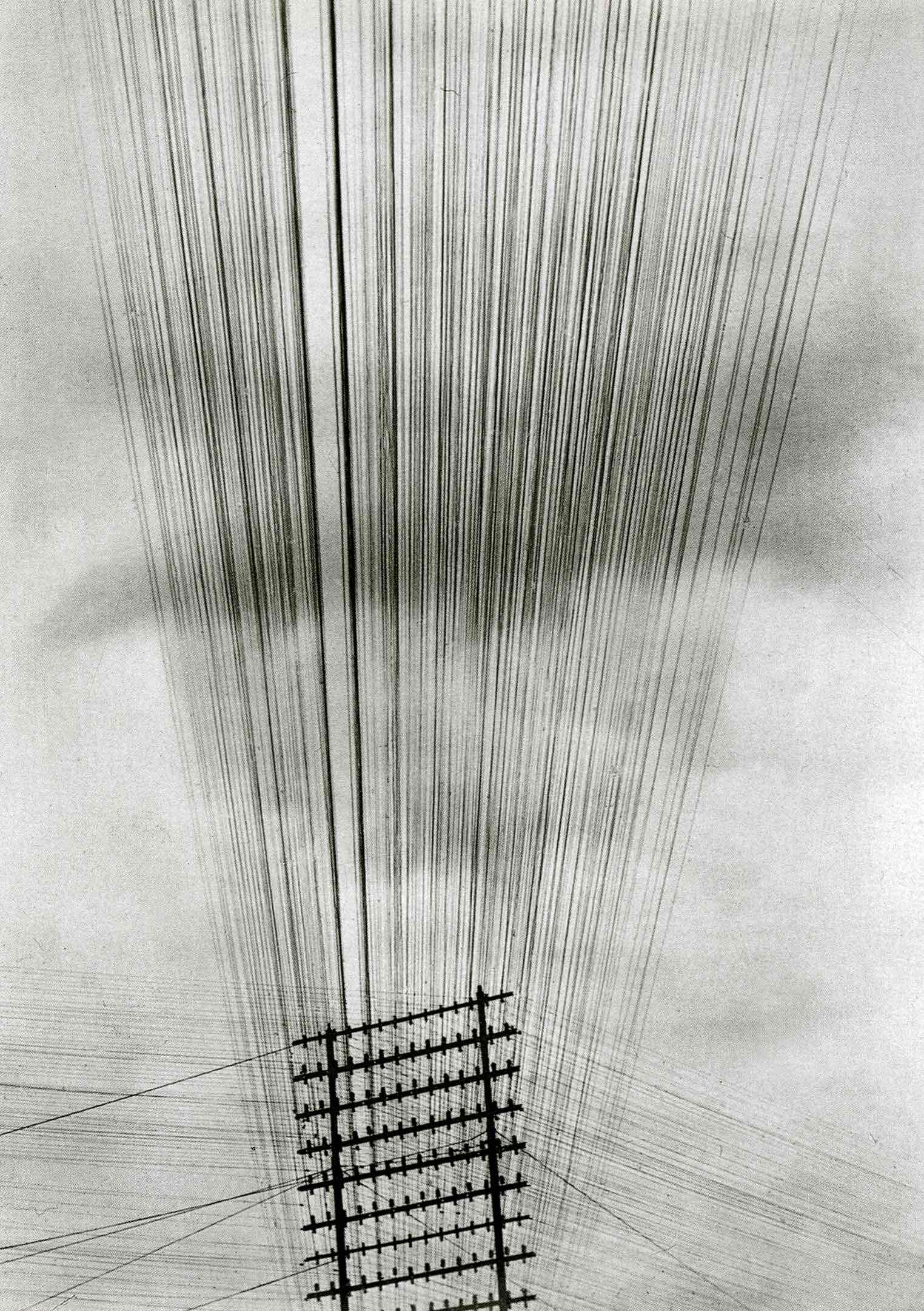 Telephone Wires