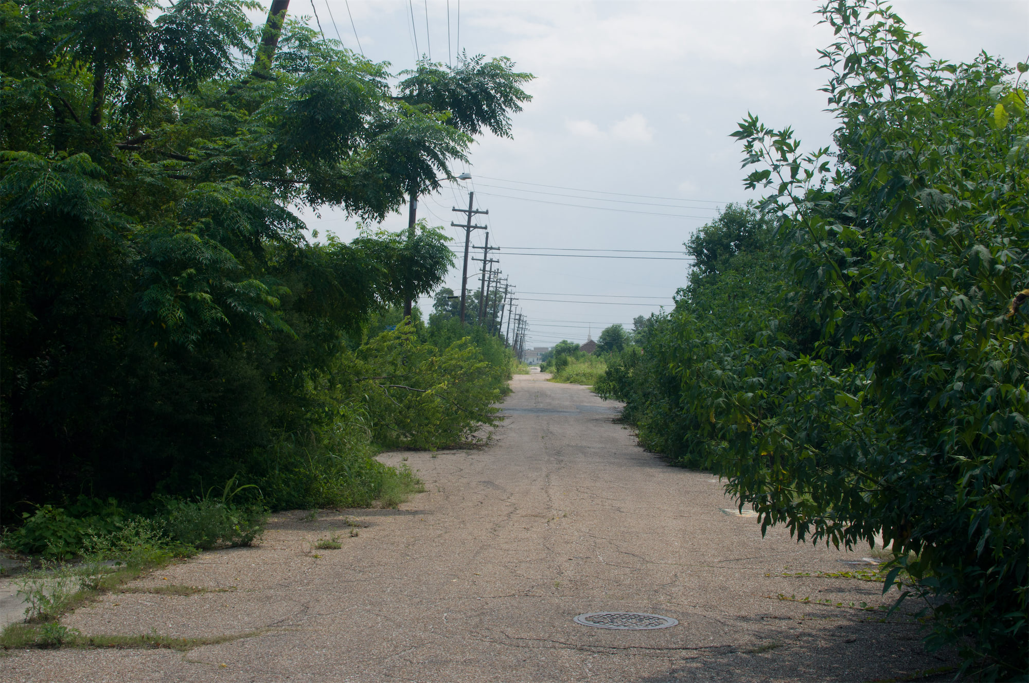 The City in the Weeds